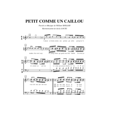 /partitions/Petit comme un caillou (4vm)-1997